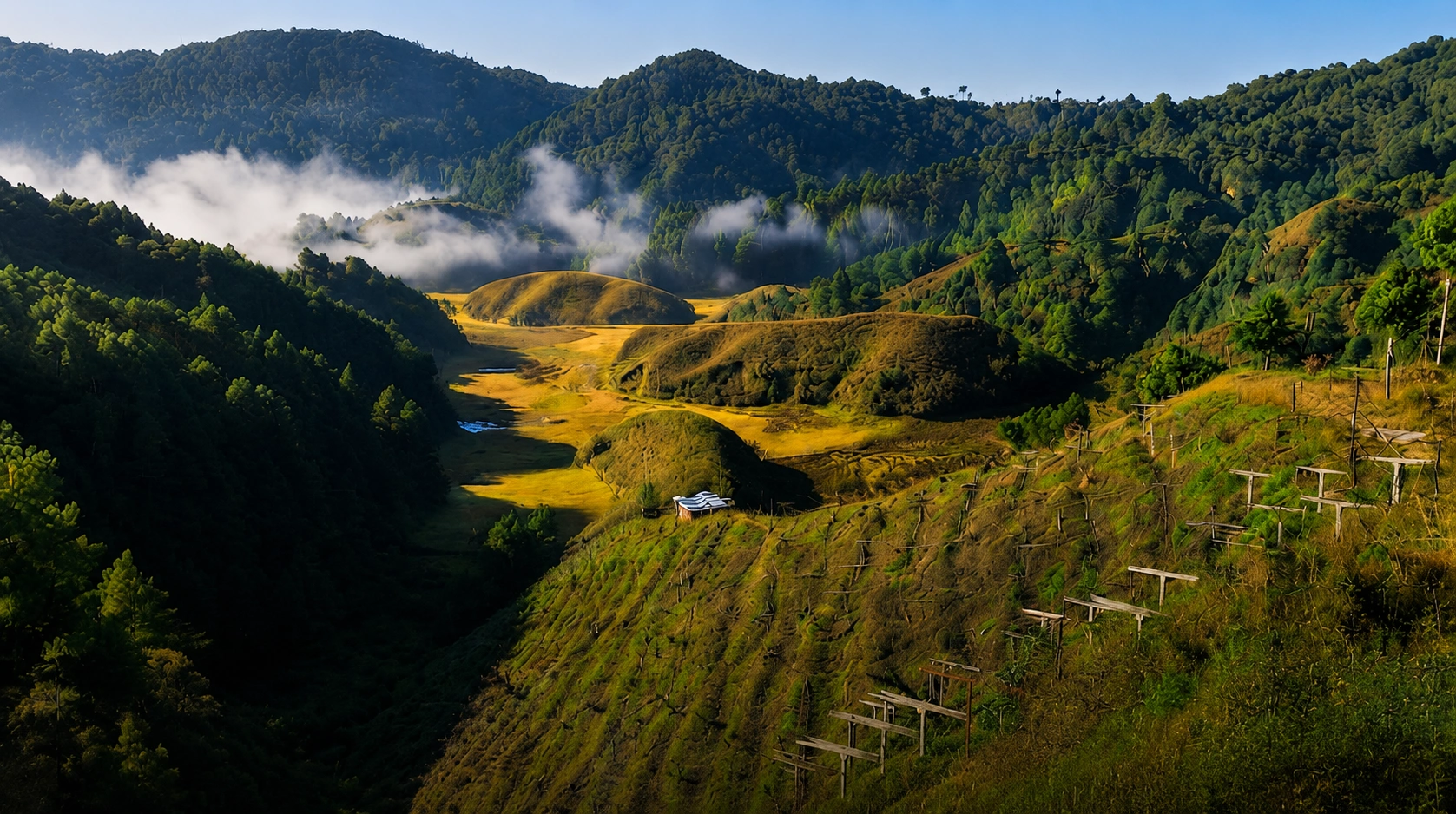 Ziro Valley, Arunachal Pradesh
